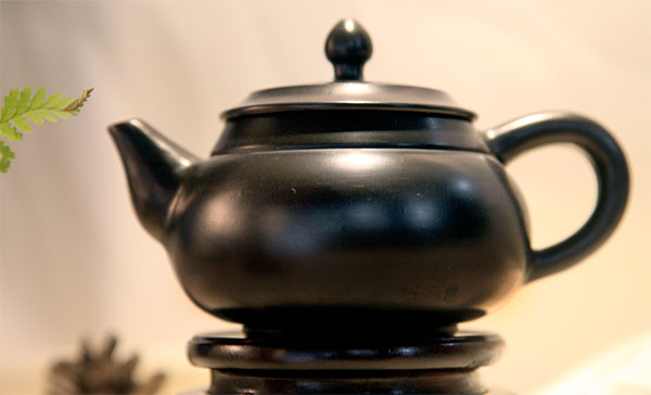 茶壶 (10)